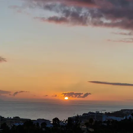 In The Garden * Costa Adeje (Tenerife)