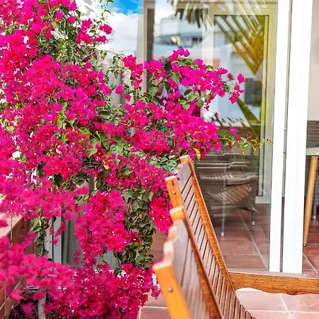 In The Garden Costa Adeje (Tenerife)