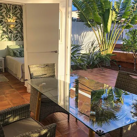 In The Garden * أذيخي