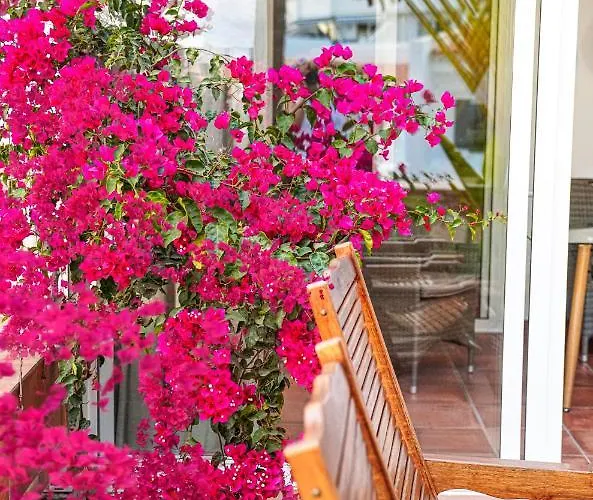 In The Garden Costa Adeje (Tenerife)