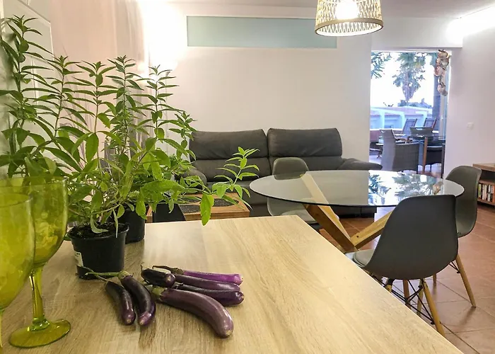 In The Garden 阿德耶